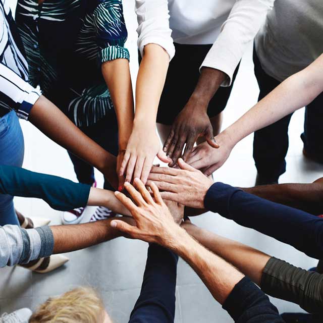 Suppliers diversity
